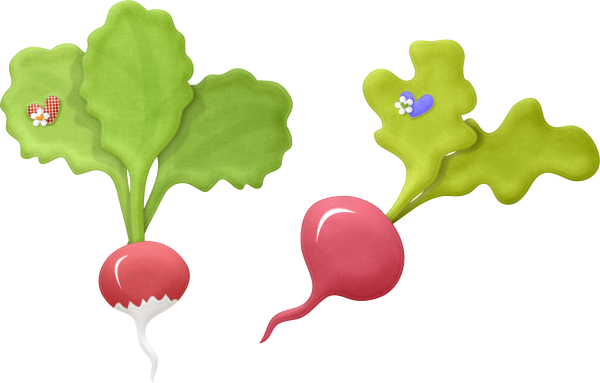 Веселая редиска