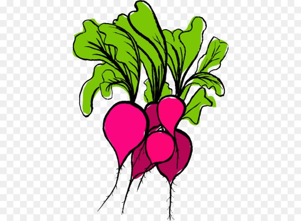 Вредная редиска