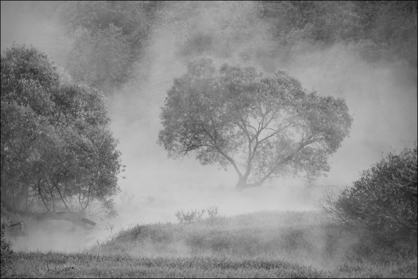 Туман Графика