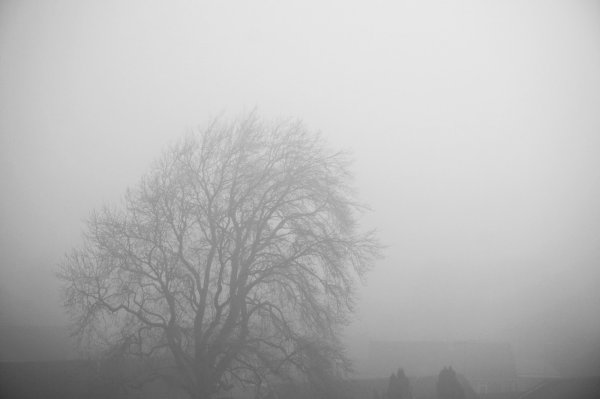 Туман рисунок