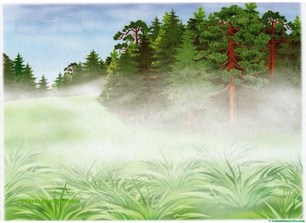 Природные явления в детском саду