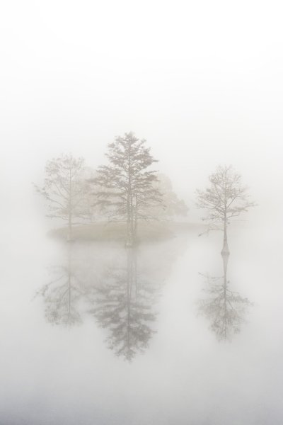 Туман рисунок