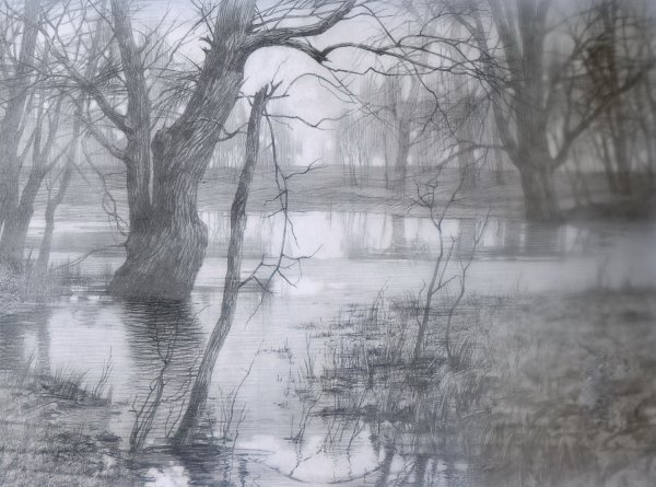 Природа Графика