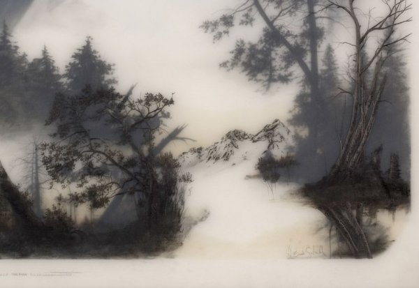 Брукс Шейн Зальцведель