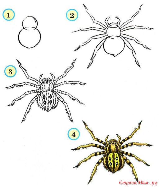 Насекомые рисунок