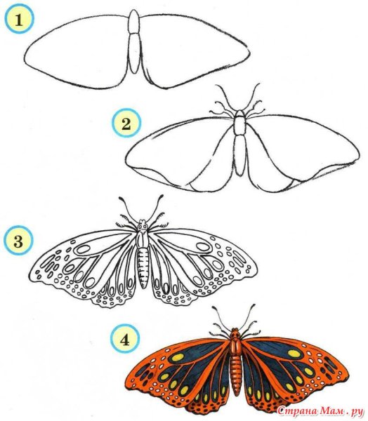 Рисование симметричных форм насекомые