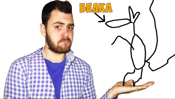 АКИНАТОР на аву