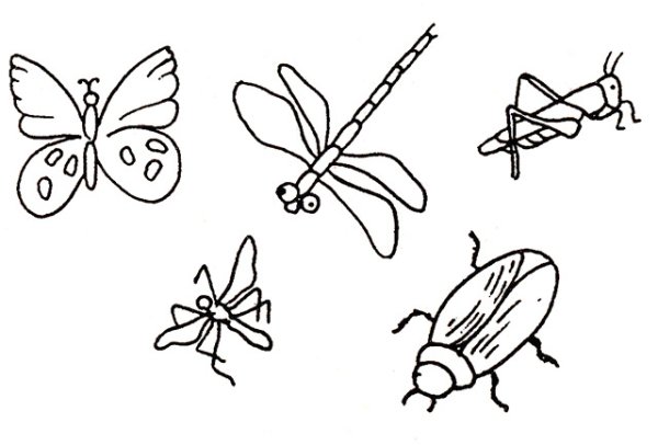 Поэтапное рисование Стрекозы