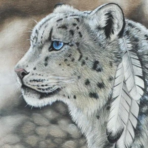 Снежный Барс рисунок