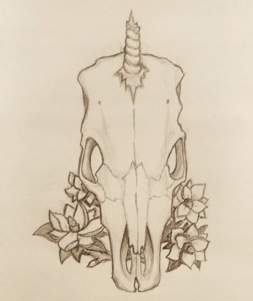 Череп лошади тату