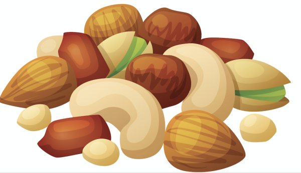 Орехи вектор