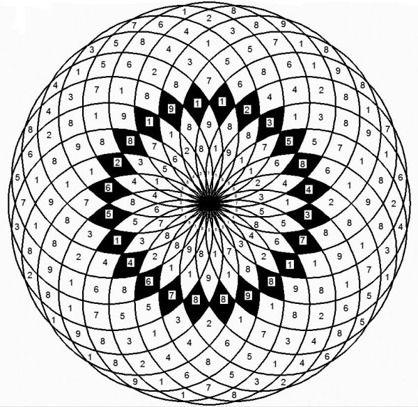 Цветок из циркуля