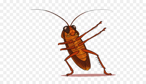 Таракан мультяшный