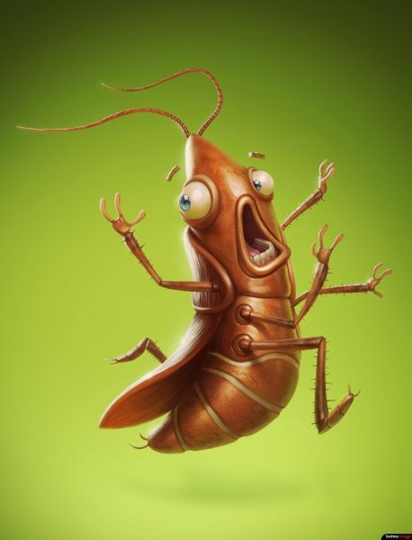 Смешной таракан