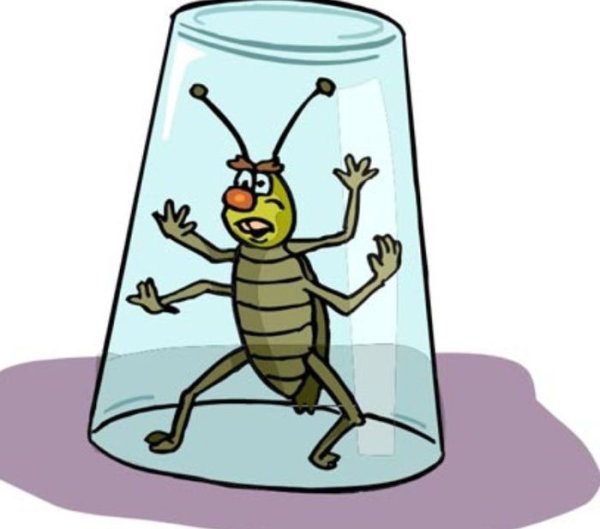 Таракан прикольный