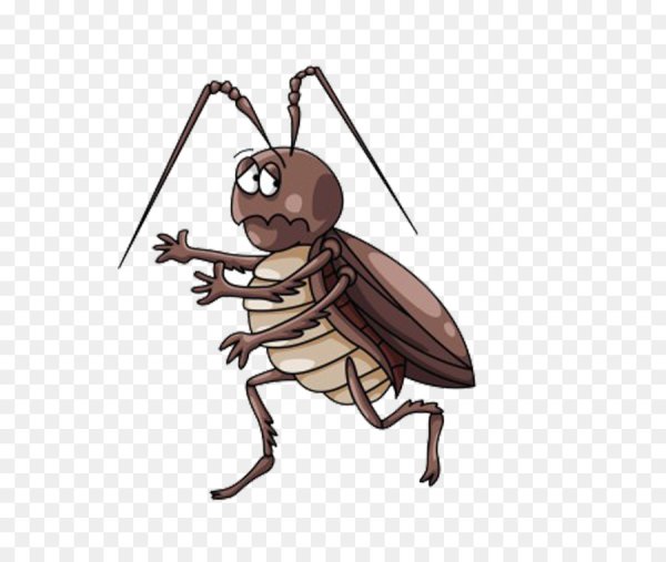 Таракан картинка