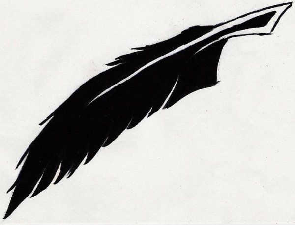 Перо ворона вектор