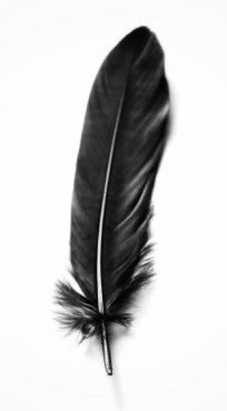Перо ворона