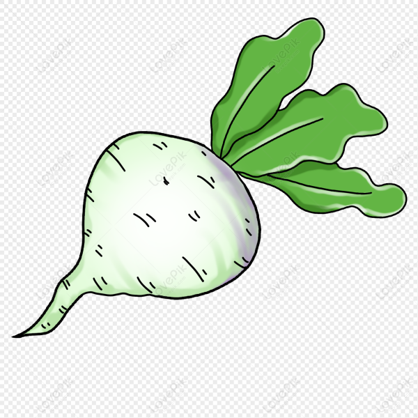 Редька мультяшная