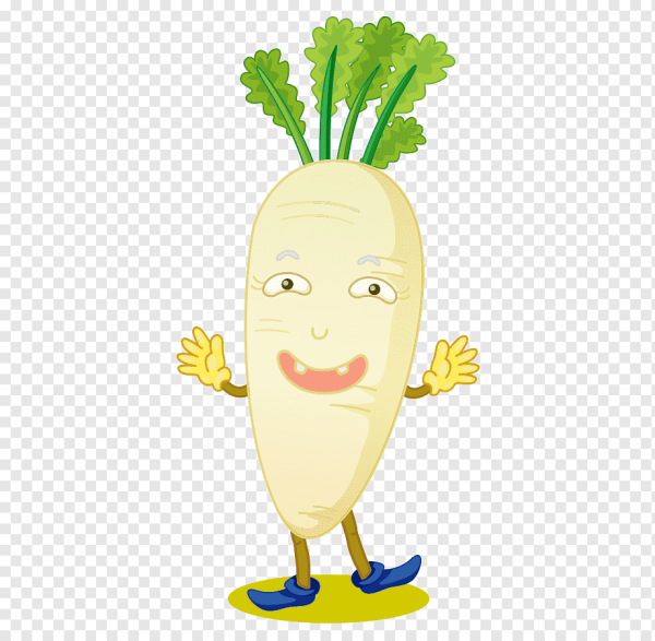 Редька раскраска