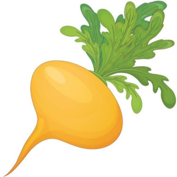 Редька для детей на белом