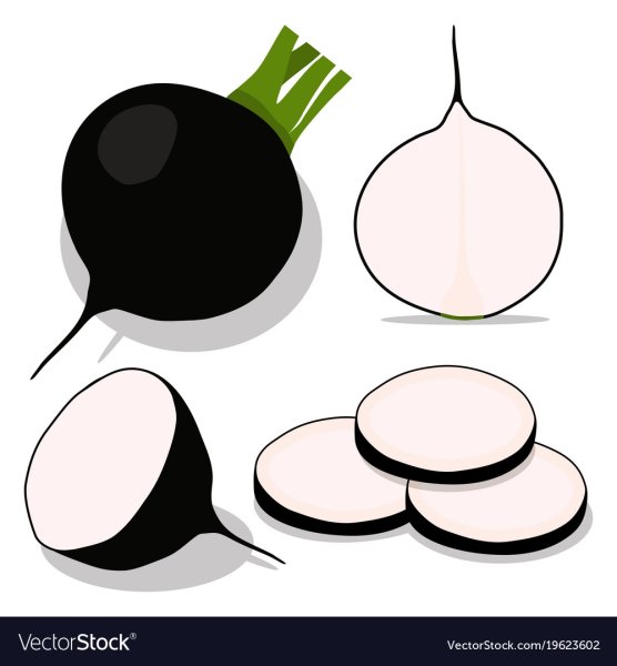 Редька турнепс