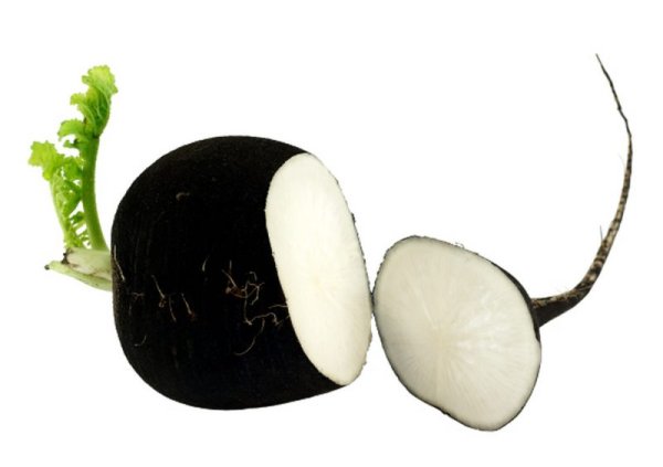 Редис раскраска для детей