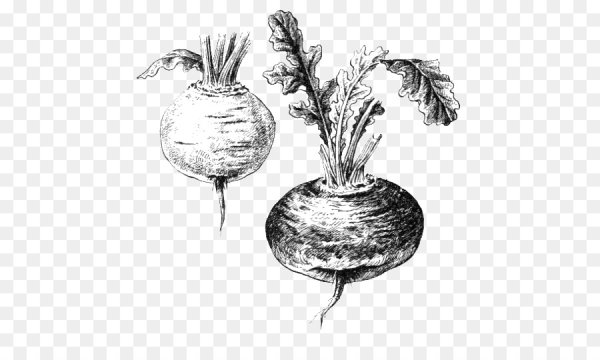 Редис трафарет