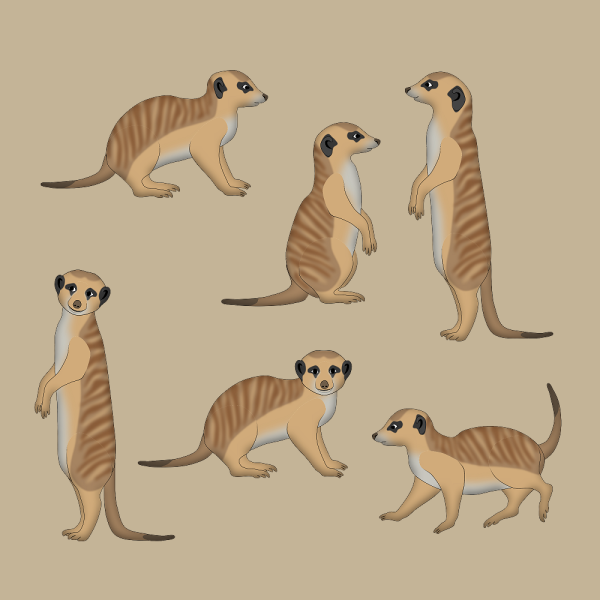 Рисунок суриката