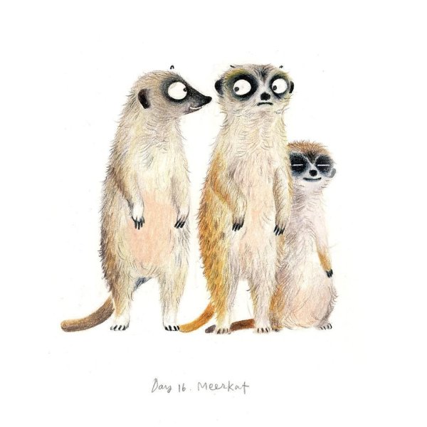 Стилизация суриката