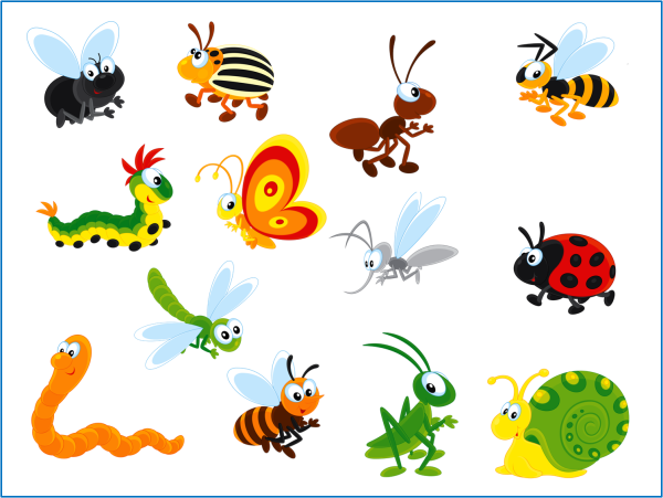 Контуры насекомых для раскрашивания