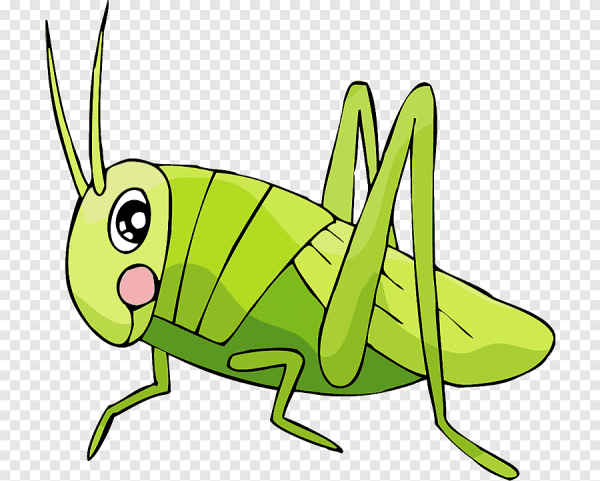 Насекомые для дошкольников