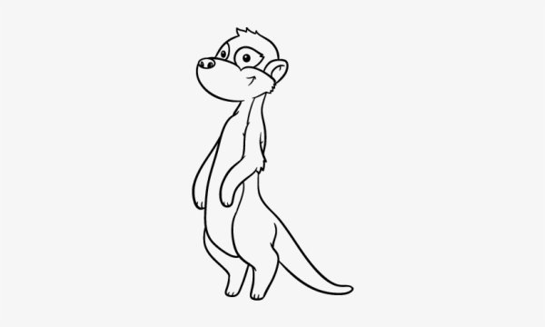 Смешные сурикаты рисунок