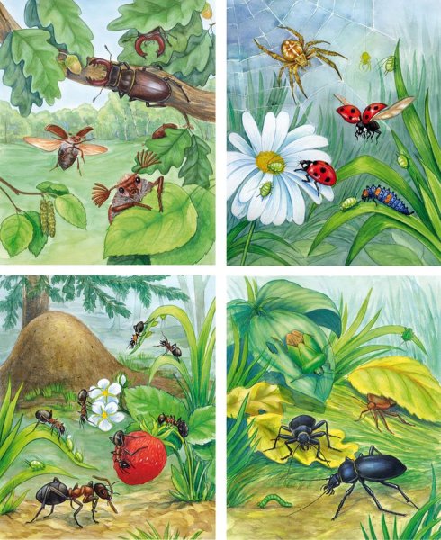 Рисуем насекомых