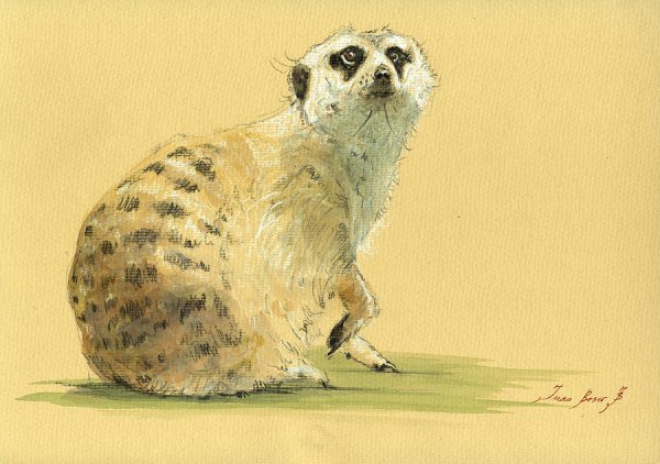 Акварельные животные для детей