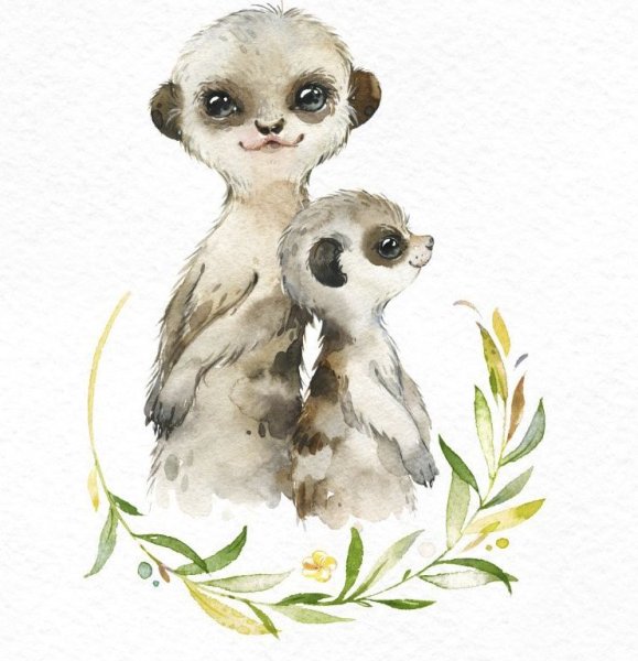 Сурикат стикер