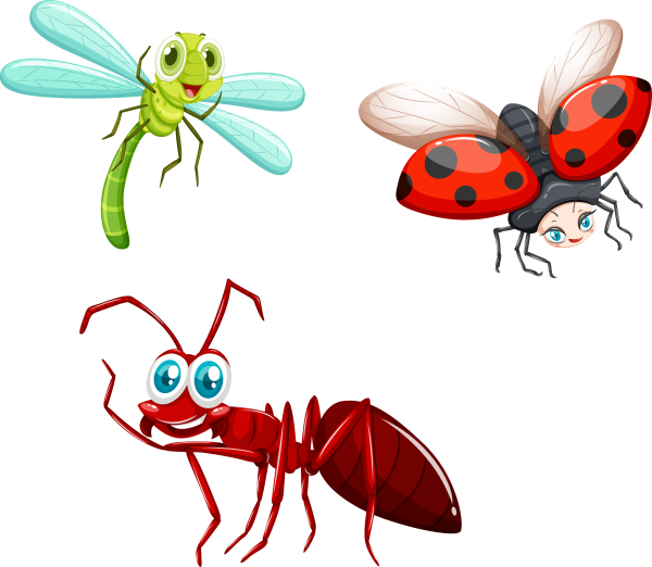 Насекомые черно белые