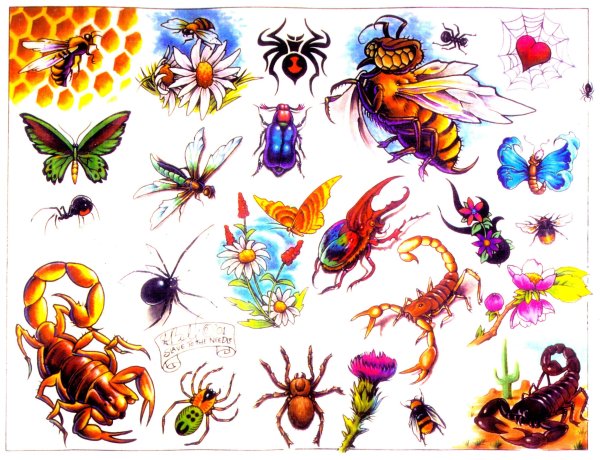 Иллюстрации насекомых для детского сада