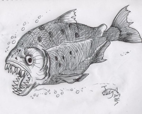 Мегапиранья параненсис