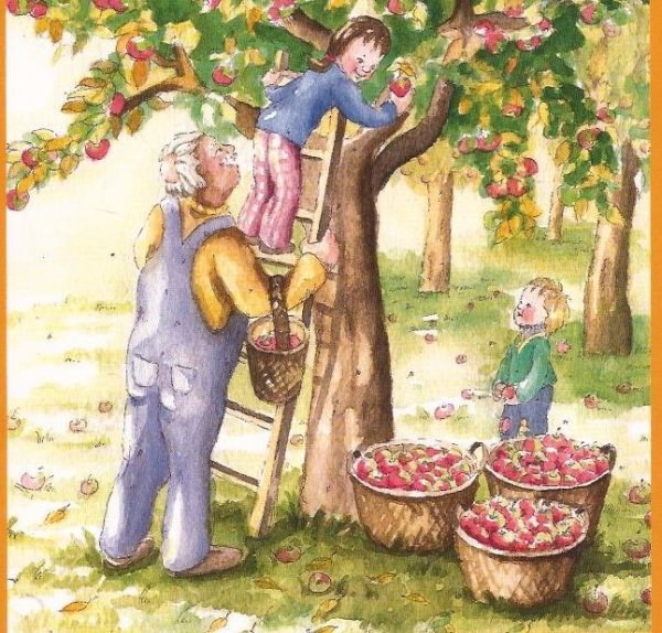 Сбор урожая для детей