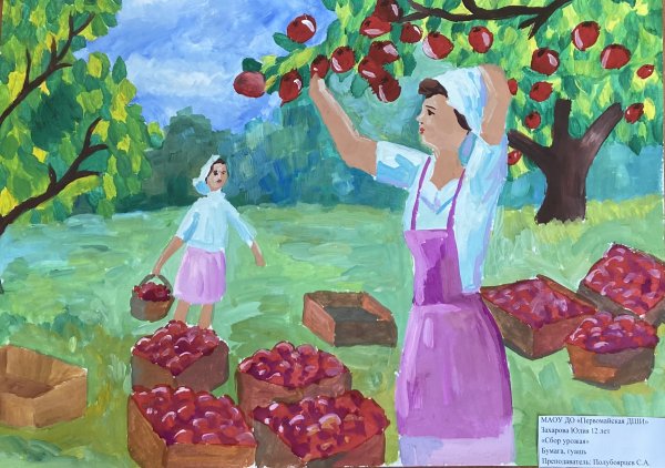 Рисование сбор урожая