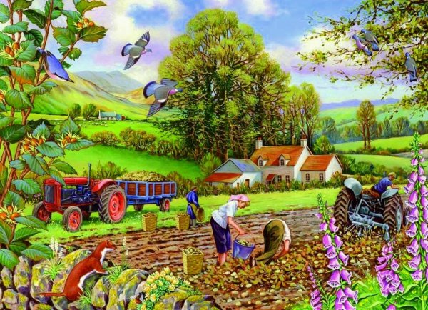 Раскраска сбор урожая