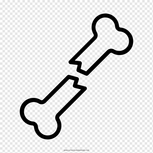 Косточка рисунок для детей