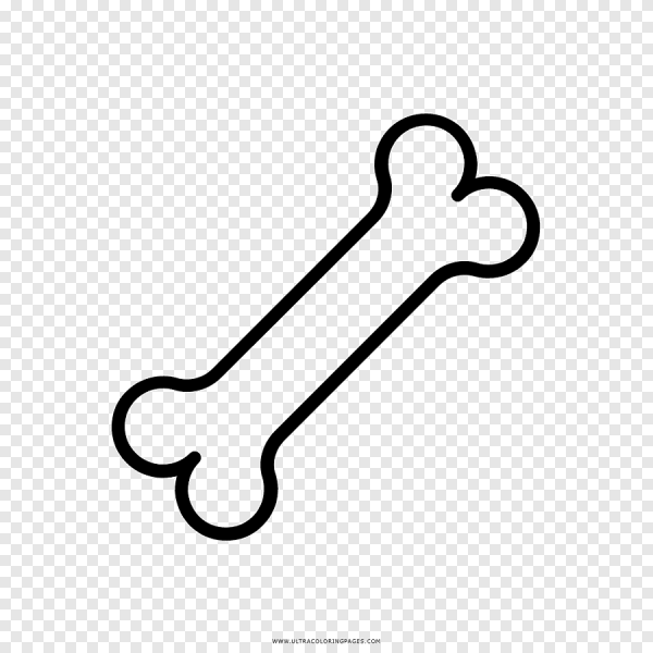 Кости рисунок