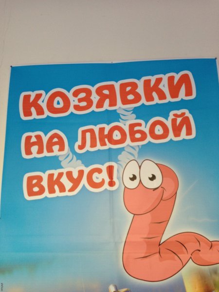 Раскраска козявка