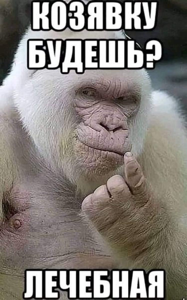 Ты козюлька