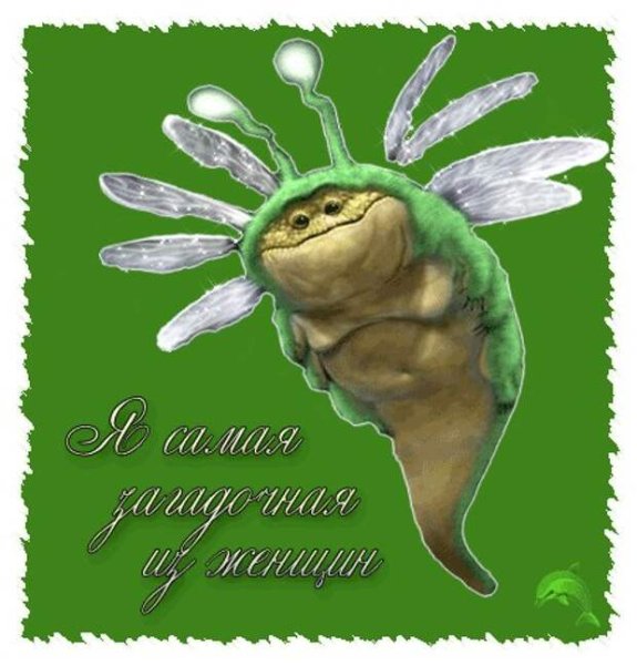 Закрывайте пожалуйста дверь Миньоны