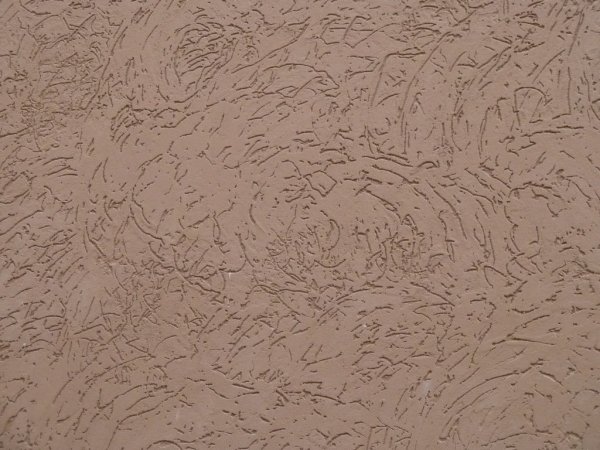 Капарол короед