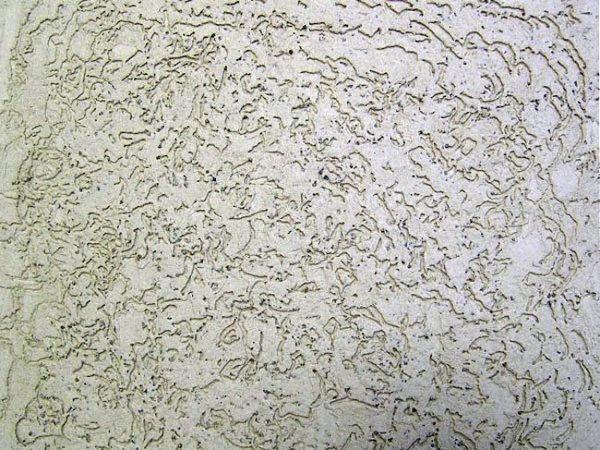 Штукатурка короед стимул