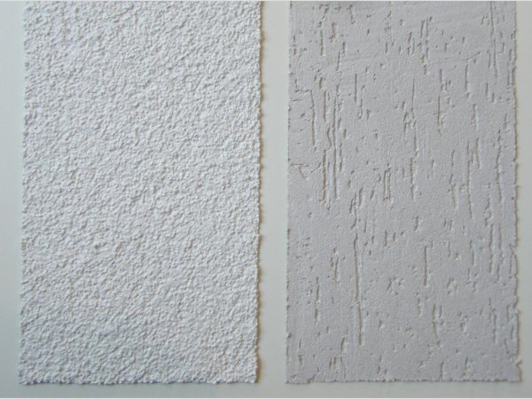 Короед камешковая